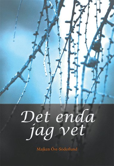 Det enda jag vet (pocket)