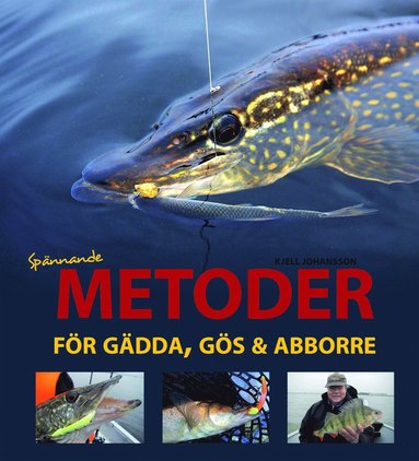 Spännande metoder för gädda, gös och abborre (inbunden)