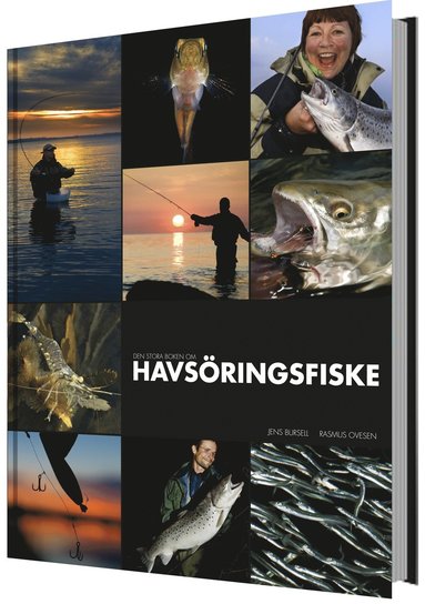 Den stora boken om havsringsfiske (inbunden)