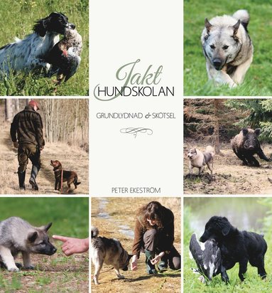 Jakthundskolan : grundlydnad och skötsel (inbunden)
