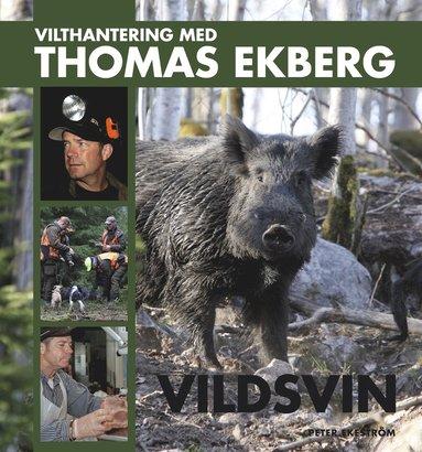 Vilthantering med Thomas Ekberg : vildsvin (hftad)