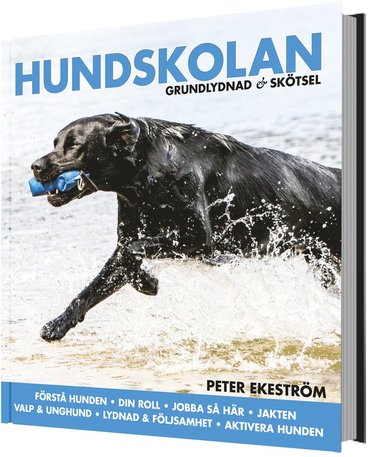 Hundskolan : grundlydnad & skötsel (inbunden)