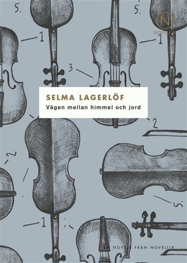 Vgen mellan himmel och jord (e-bok)