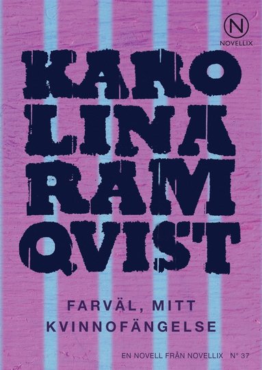 Farvl, mitt kvinnofngelse (ljudbok)