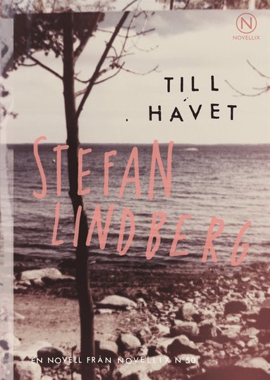 Till havet (e-bok)