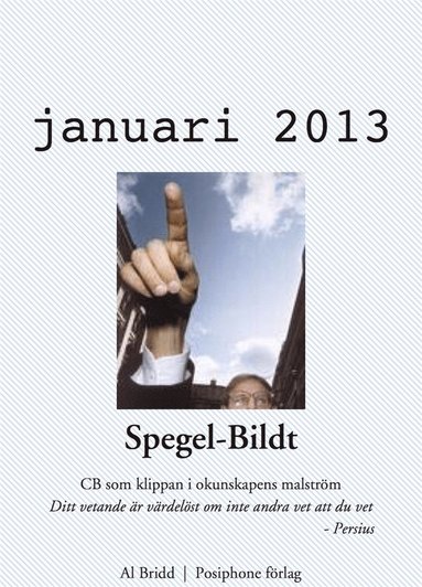 Spegel-Bildt, januari 2013. CB som klippan i okunskapens malstrm. (inbunden)