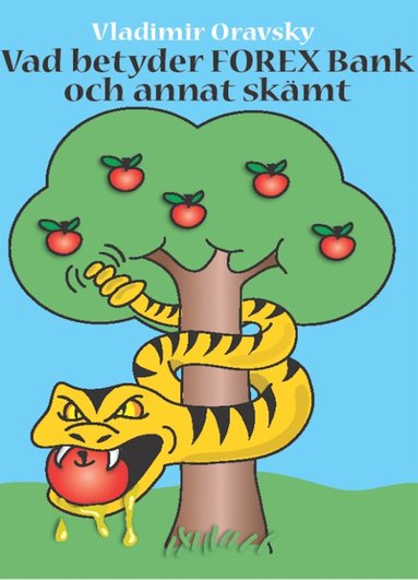 VAD BETYDER FOREX BANK OCH ANNAT SKMT (pocket)
