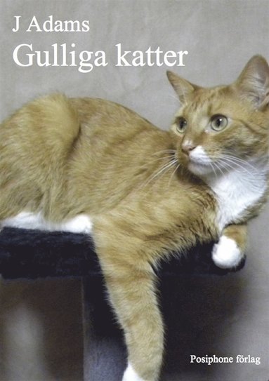 Gulliga katter (inbunden)