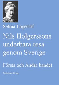 Nils Holgerssons underbara resa genom Sverige. Första och Andra bandet. (e-bok)