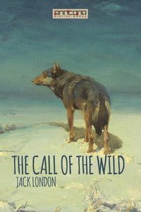 The Call of the Wild (e-bok)
