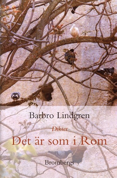 Det är som i Rom : Dikter (pocket)