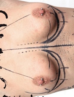 SALONG FLYTTKARTONG (inbunden)