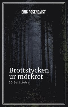 Brottstycken ur mörkret (e-bok)