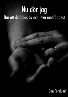 Nu d�r jag : om att drabbas av och leva med �ngest (inbunden)