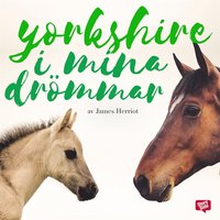 Yorkshire i mina drmmar (ljudbok)