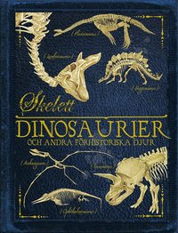 Skelett : dinosaurier och andra frhistoriska djur (hftad)