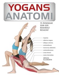 Yogans anatomi : 75 vningar som ger maximalt resultat (e-bok)