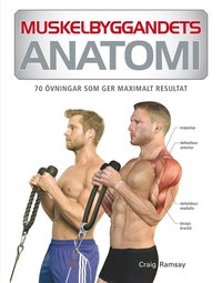 Muskelbyggandets anatomi : 100 vningar som ger maximalt resultat (e-bok)