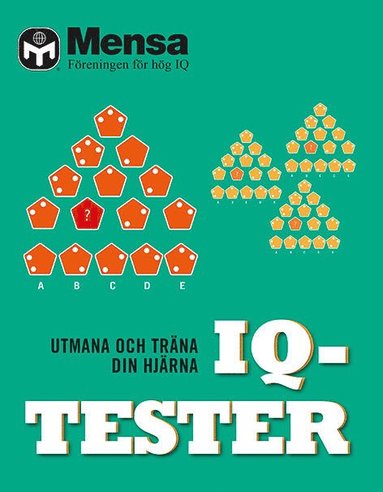 Mensa IQ-tester : utmana och träna din hjärna (inbunden)