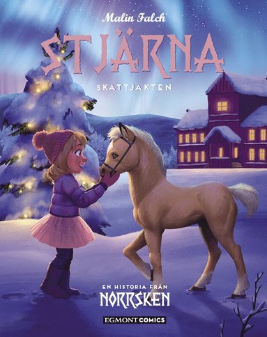 Stjärna : skattjakten (kartonnage)