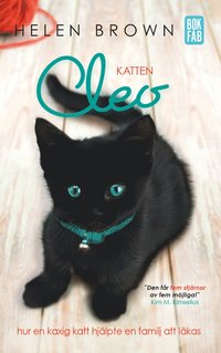 Katten Cleo : hur en kaxig katt hjälpte en familj att läkas (pocket)