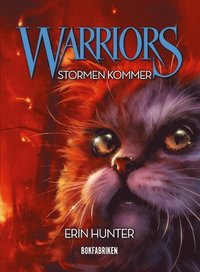 WARRIOR CATS 2. Fuoco e ghiaccio (Italian Edition) eBook : Erin Hunter:  : Livros