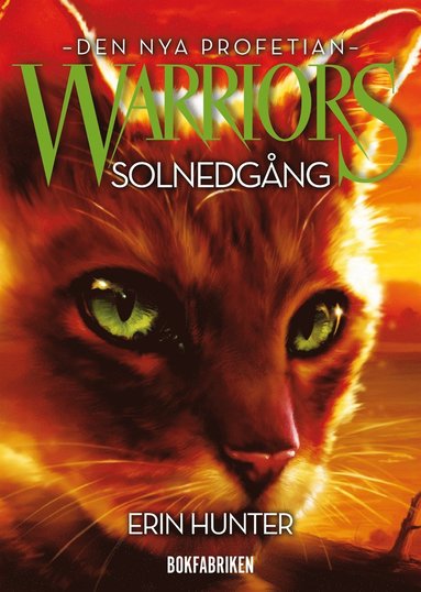 Warriors 2 - Solnedgng