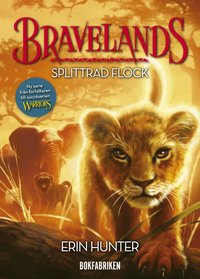 Omslag: Splittrad flock