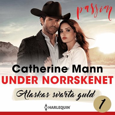 Under norrskenet (ljudbok)