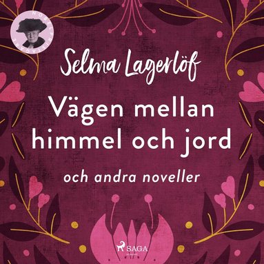 V�gen mellan himmel och jord (och andra noveller) (ljudbok)