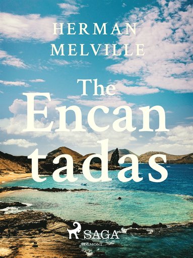 The Encantadas Or Enchanted Isles (e-bok)