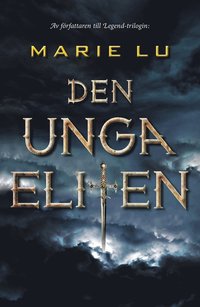 Den unga eliten (e-bok)