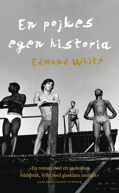En pojkes egen historia (pocket)