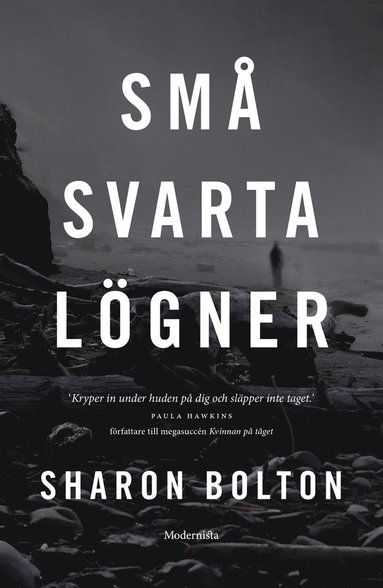 Sm svarta lgner (e-bok)