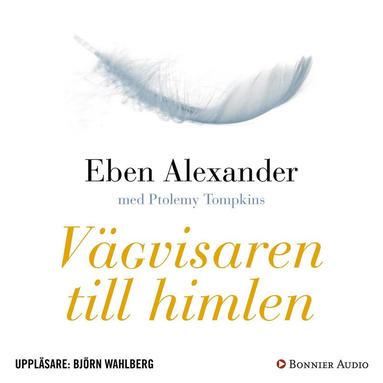 Vgvisaren till himlen : hur vetenskap, religion och vanliga mnniskor pvisar att det finns ett liv efter dden (ljudbok)