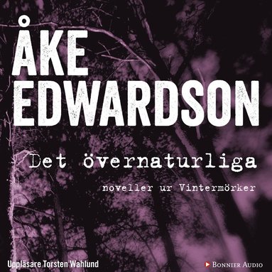 Det vernaturliga : noveller ur Vintermrker (e-bok)