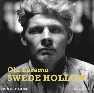 Swede Hollow (e-bok)