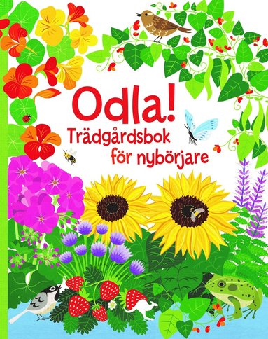 Odla! : trdgrdsbok fr nybrjare (inbunden)