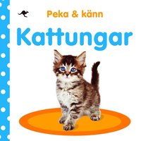 Peka och knn : kattungar (kartonnage)