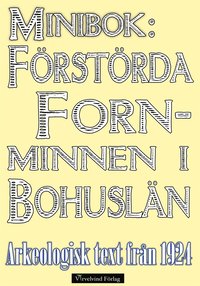 Minibok: Frstrda fornminnen i Bohusln r 1924 (e-bok)