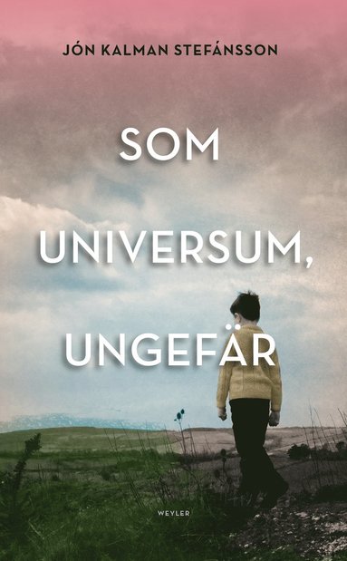 Som universum, ungefär : en släktroman (storpocket)