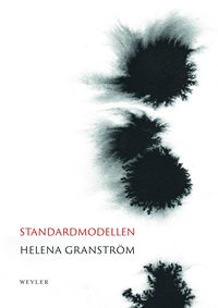 Standardmodellen (e-bok)