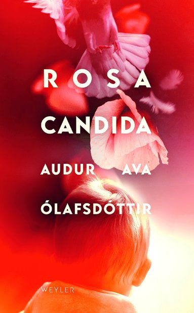 Rosa candida (inbunden)