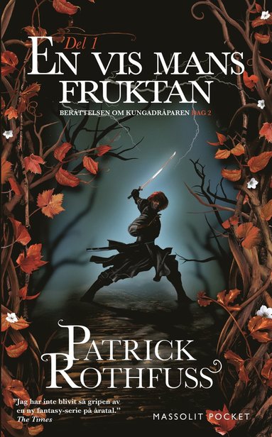 En vis mans fruktan. Del 1 (pocket)