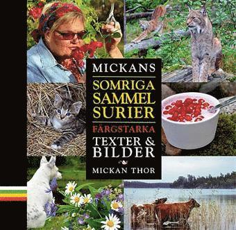 Mickans somriga sammelsurier : f�rgstarka texter och bilder (h�ftad)