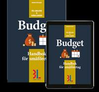 Budget (hftad)