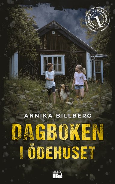 Dagboken i dehuset (inbunden)