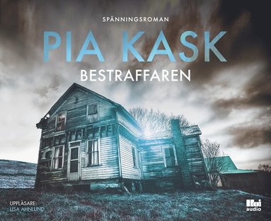 Bestraffaren (häftad)