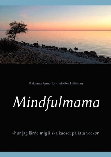 Mindfulmama: -hur jag lrde mig lska kaoset p tta veckor (kartonnage)