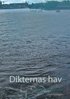 Dikternas hav: En resa i tid och rum